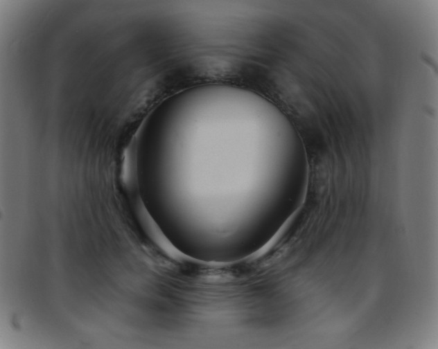 X0000097780750200803071349