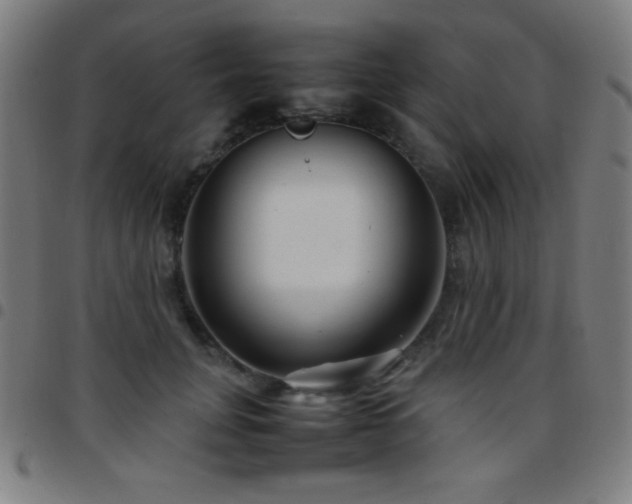 X0000097780751200803071349