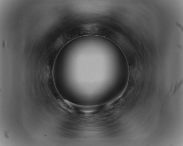 X0000097780752200803071349