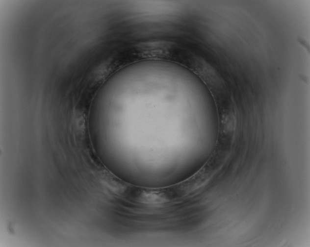 X0000097780753200803071349