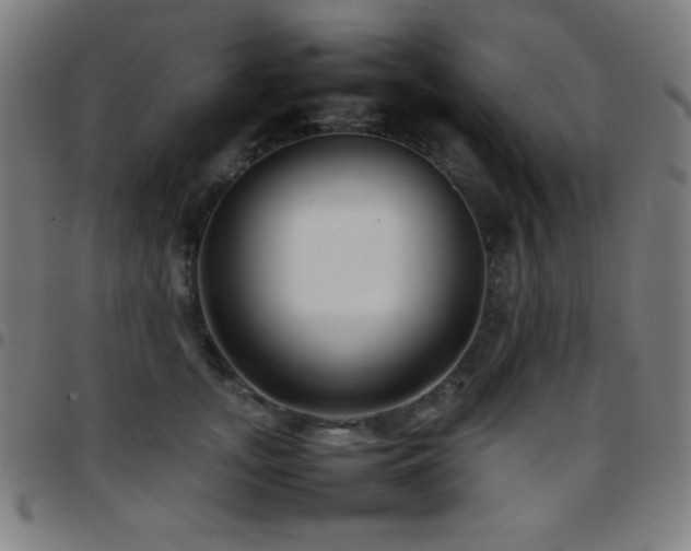 X0000097780755200803071349