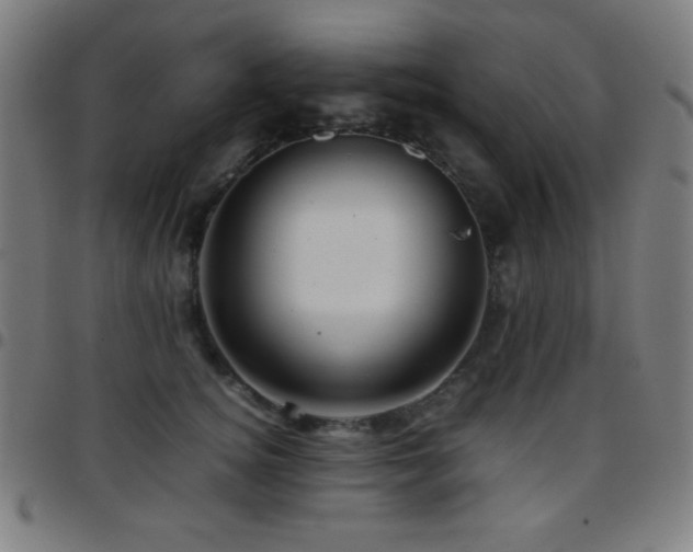 X0000097780756200803071349