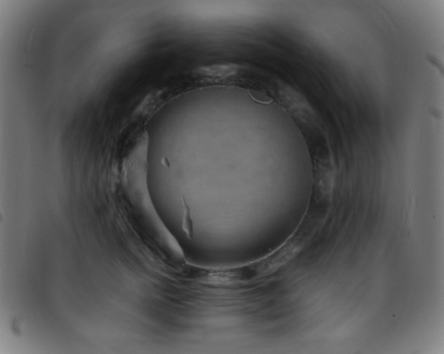 X0000097780758200803071349