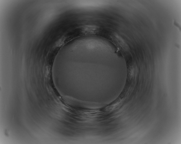 X0000097780759200803071349