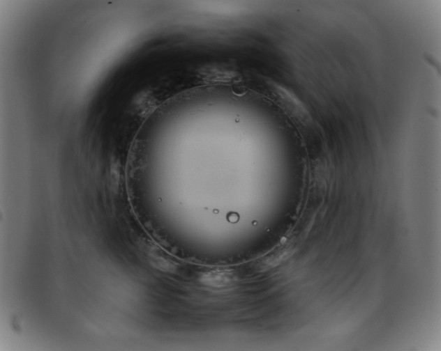 X0000097780761200803071349
