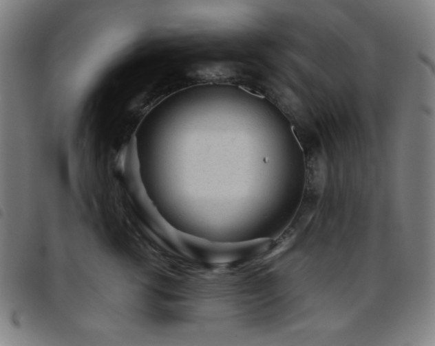 X0000097780762200803071349