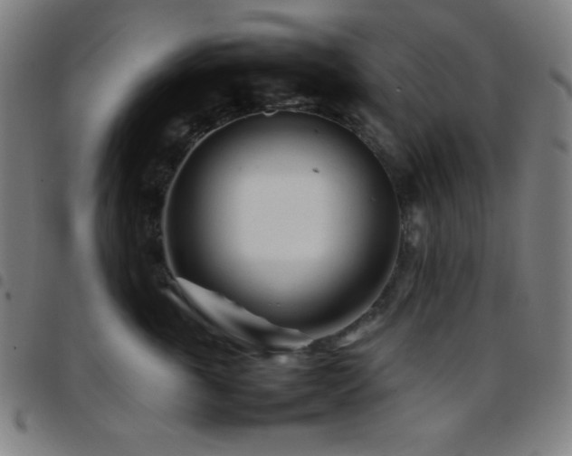 X0000097780763200803071349