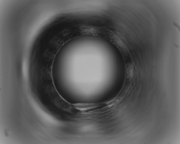 X0000097780764200803071349