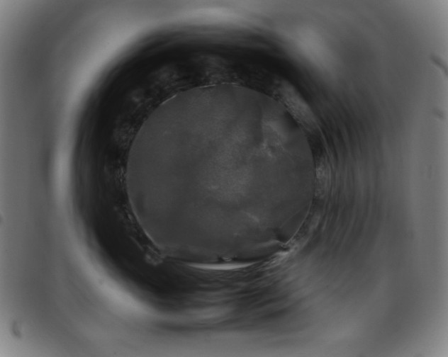 X0000097780765200803071349