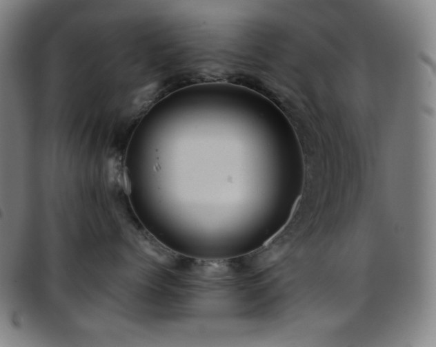 X0000097780768200803071349