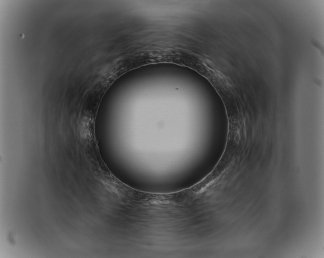 X0000097780770200803071348