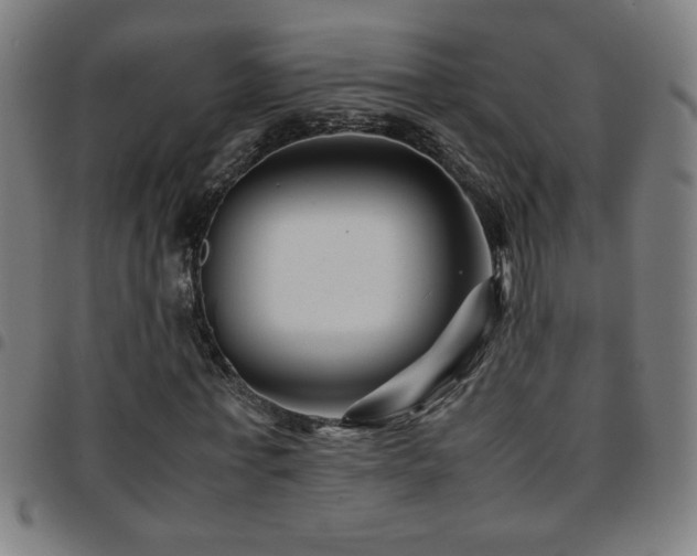 X0000097780771200803071348