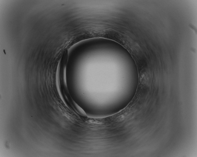 X0000097780772200803071348
