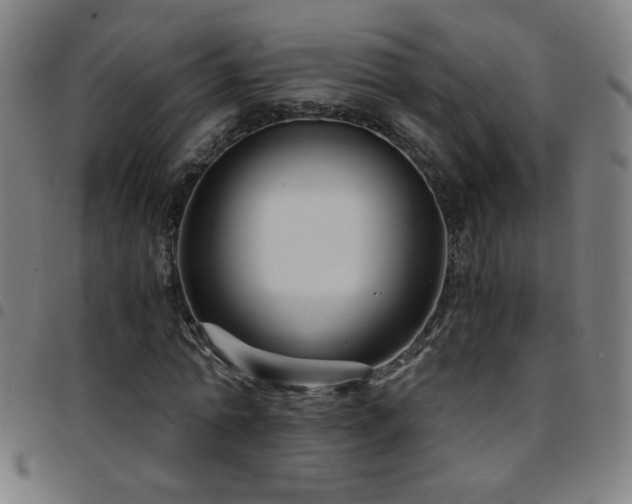 X0000097780774200803071348
