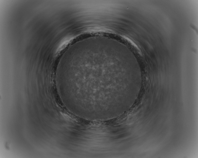 X0000097780775200803071348