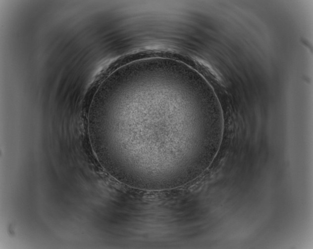 X0000097780776200803071348