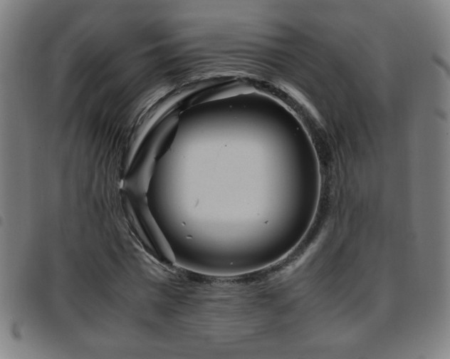 X0000097780777200803071348