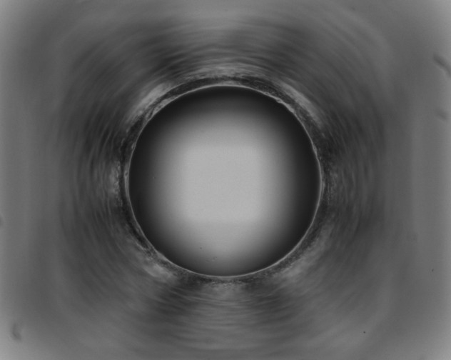 X0000097780778200803071348