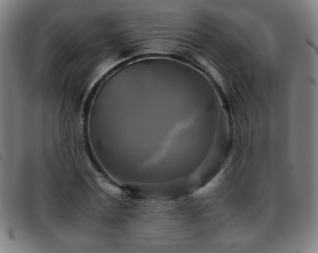 X0000097780779200803071348