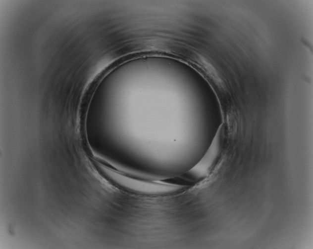 X0000097780780200803071348