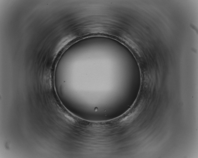 X0000097780782200803071348