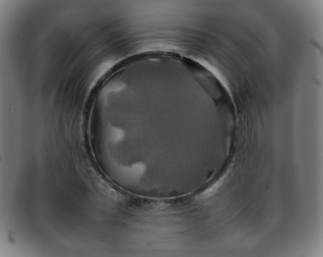 X0000097780783200803071348