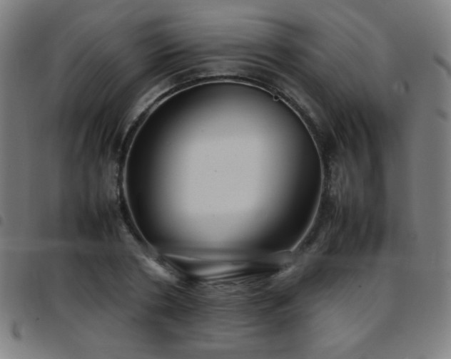 X0000097780786200803071348