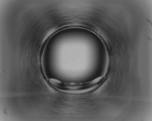 X0000097780789200803071348