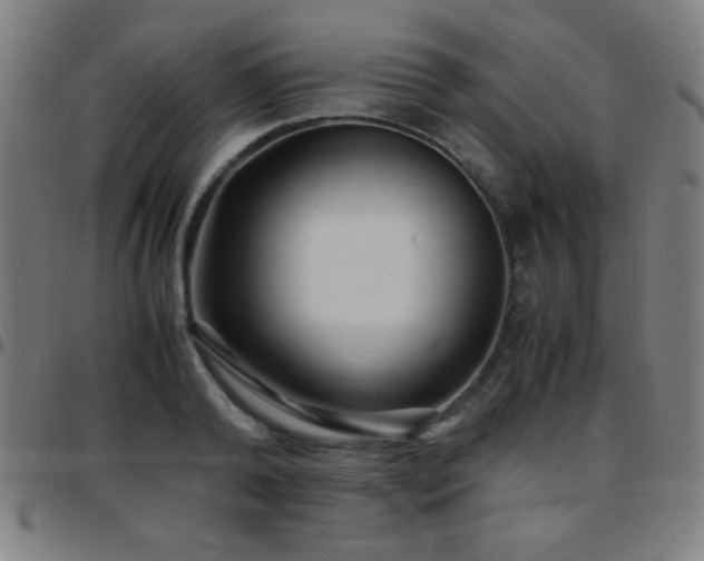 X0000097780792200803071348