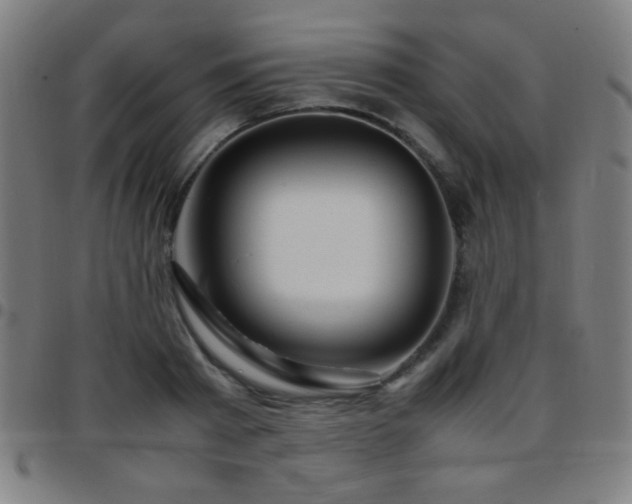 X0000097780793200803071348