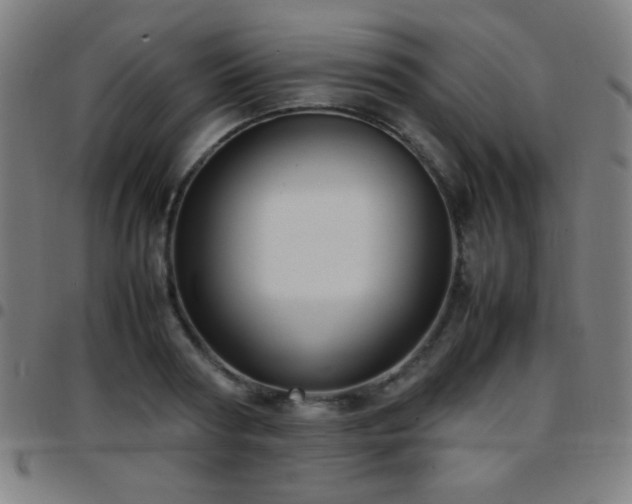 X0000097780794200803071348