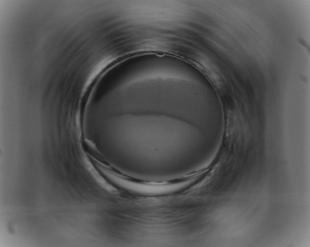 X0000097780796200803071348