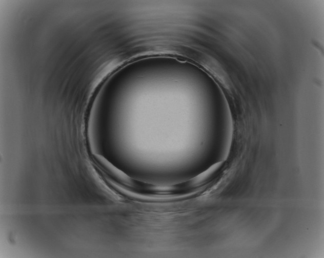 X0000097780797200803071348