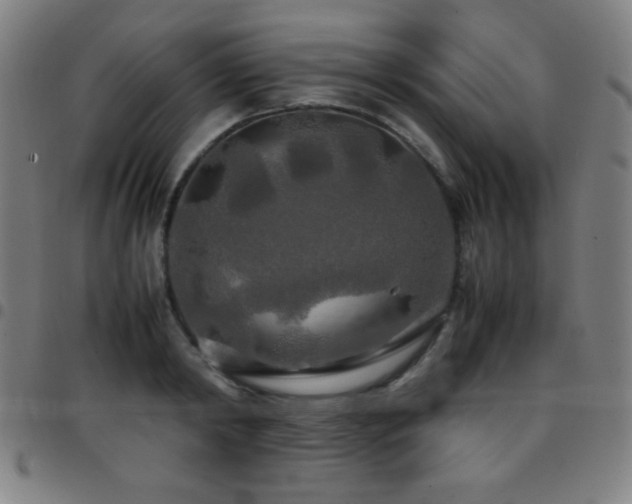 X0000097780798200803071348