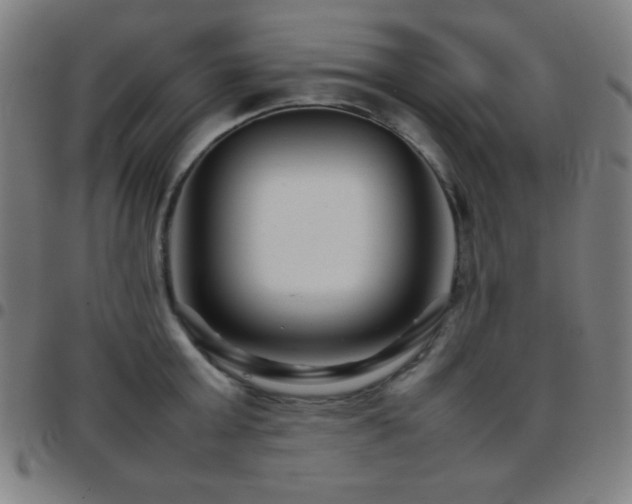 X0000097780803200803071348