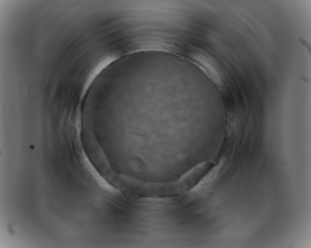 X0000097780804200803071348