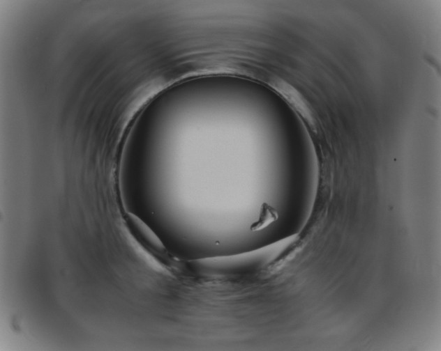 X0000097780805200803071348