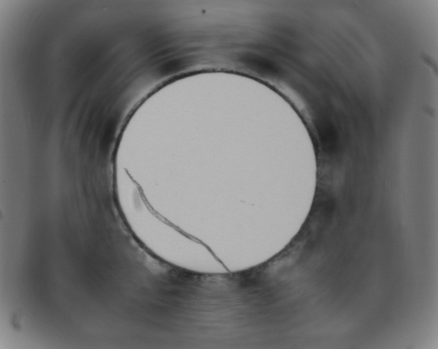 X0000097780807200803071348