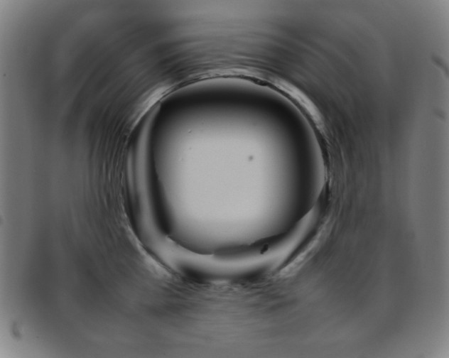 X0000097780809200803071348