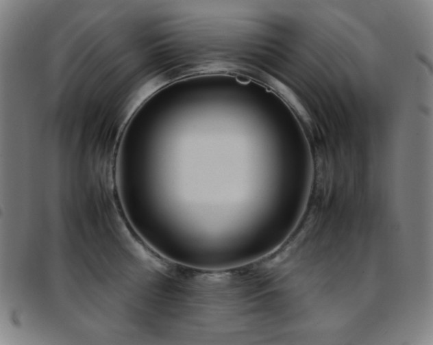 X0000097780810200803071348