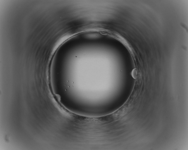 X0000097780811200803071348