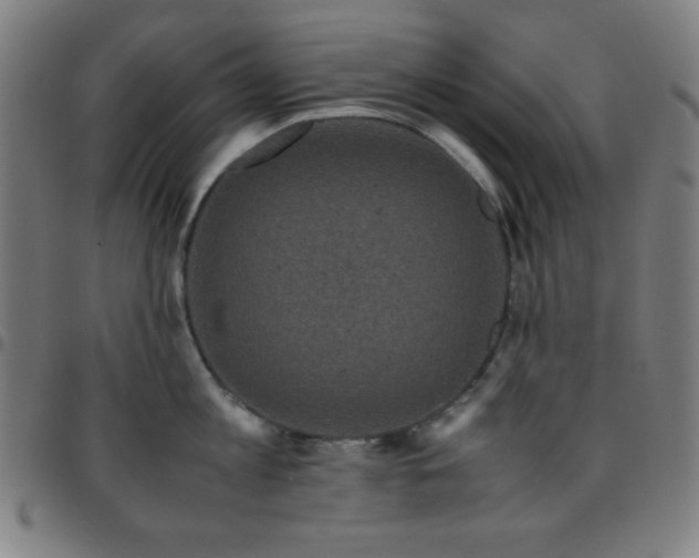 X0000097780813200803071348