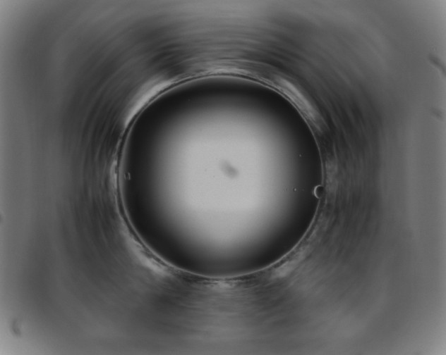 X0000097780814200803071348