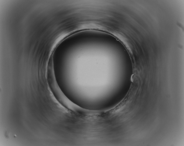 X0000097780815200803071348