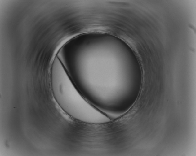 X0000097780816200803071348
