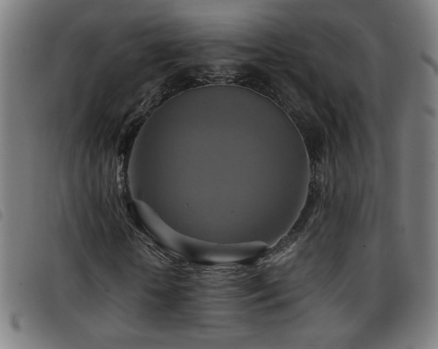 X0000097780818200803071347