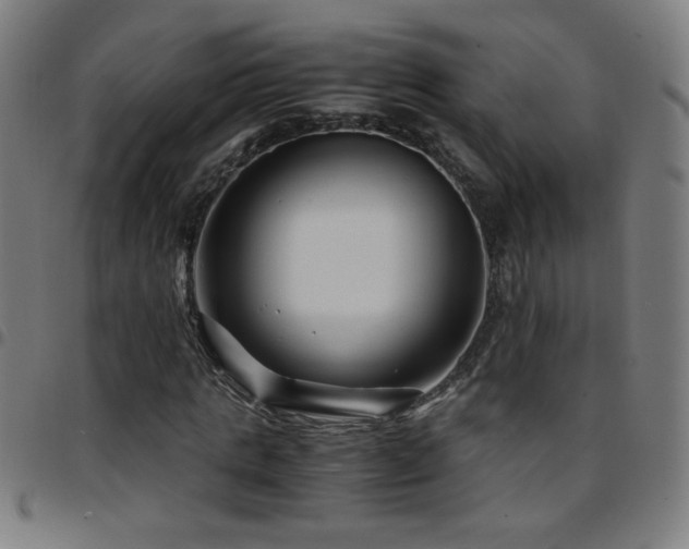 X0000097780821200803071347