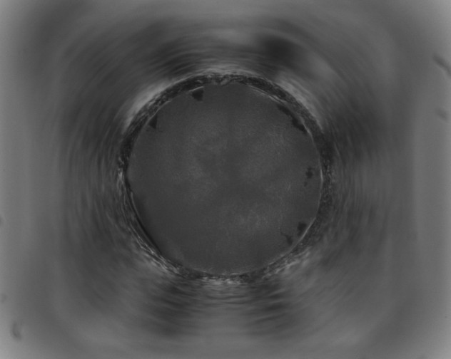 X0000097780823200803071347