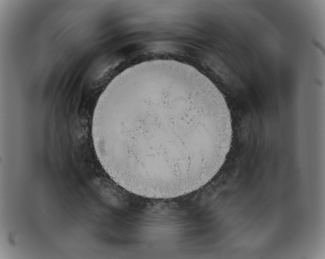 X0000097780824200803071347