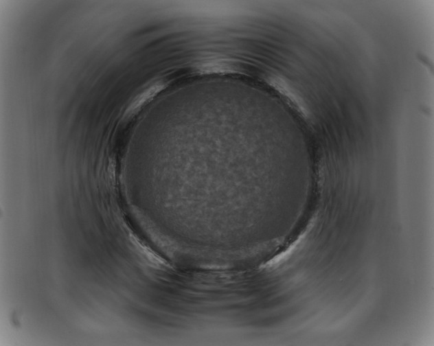 X0000097780825200803071347